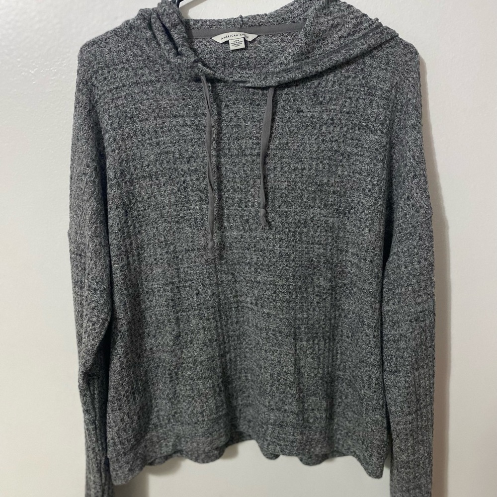 American Eagle Cropped Hoodie